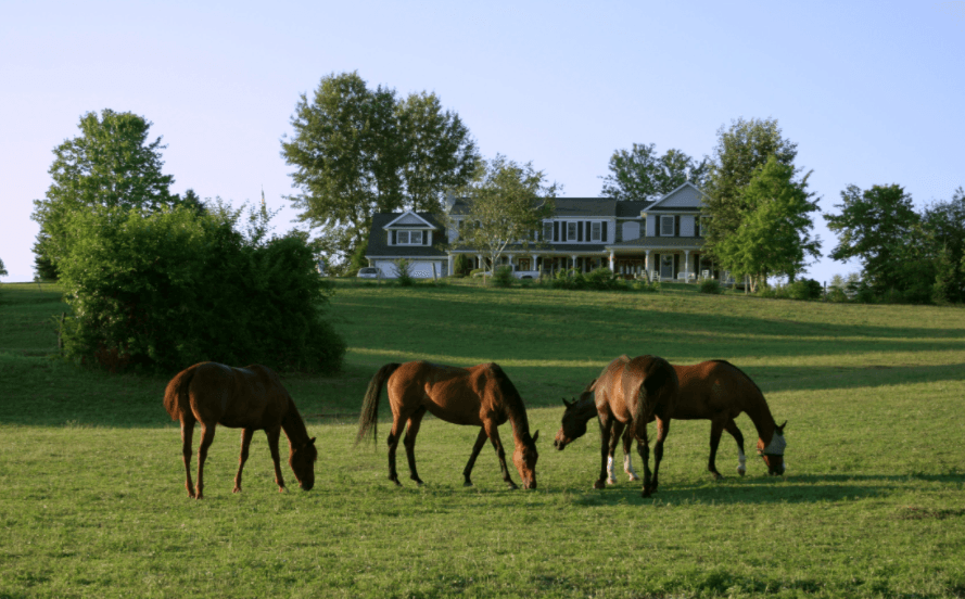 Horses grazing in the main pasture at a countryside inn