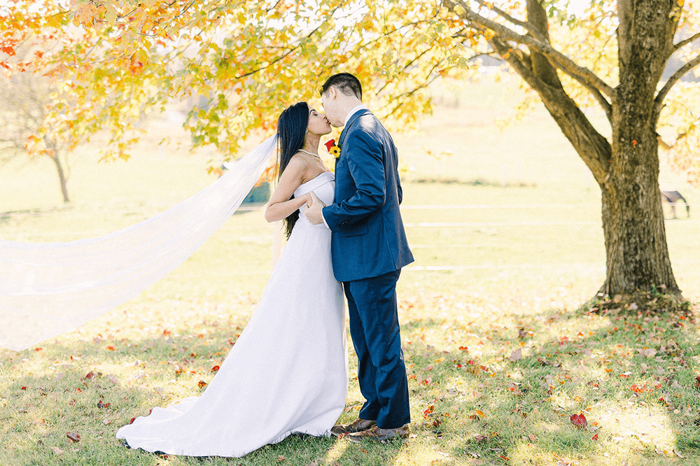 A bride and groom share a kiss under a tree with autumn leaves.