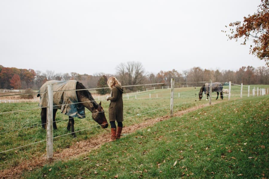 A woman interacts with a horse in a pasture while another horse grazes nearby.