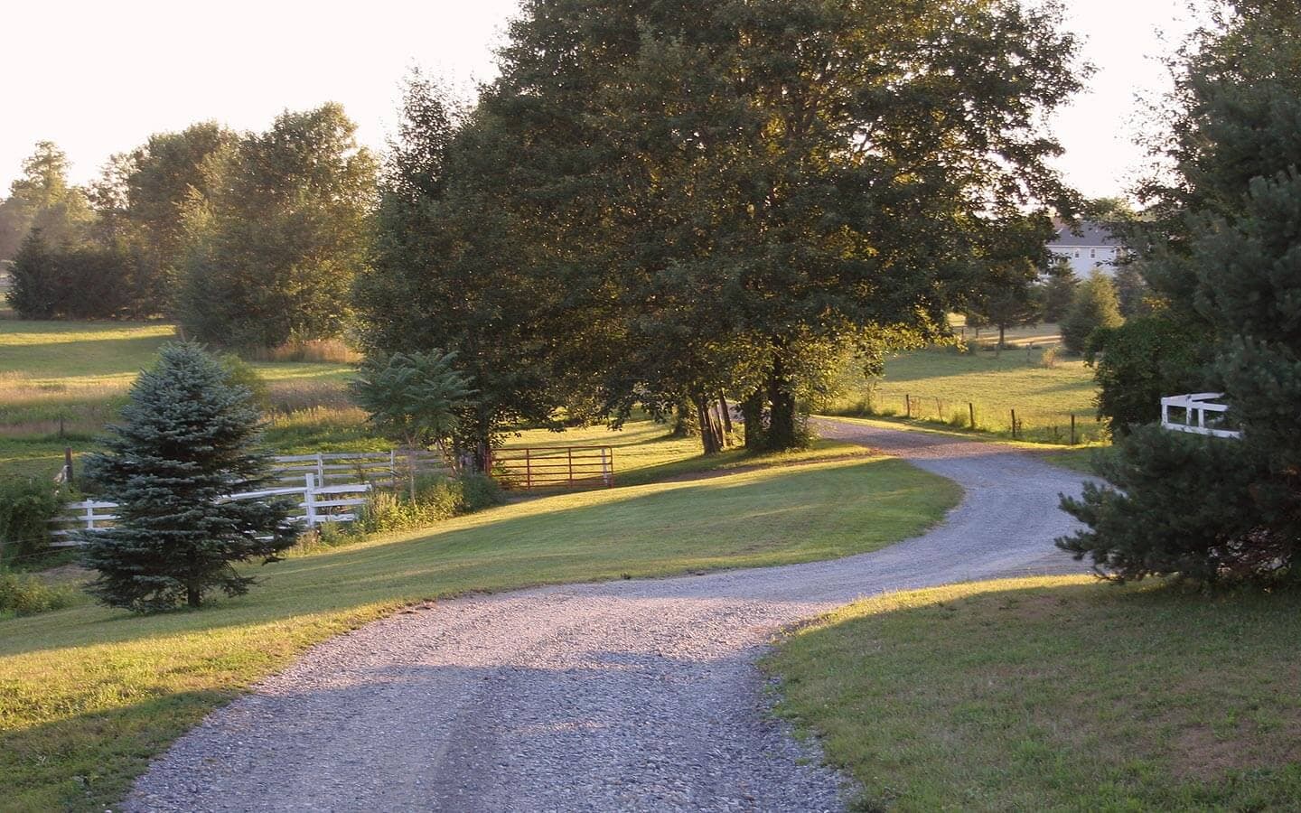 A winding gravel driveway surrounded by lush green fields and trees.