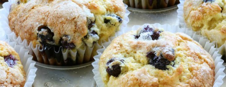 A close-up of freshly baked blueberry muffins in white paper liners.