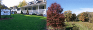 A vineyard and winery featuring a charming house and scenic land with colorful trees.