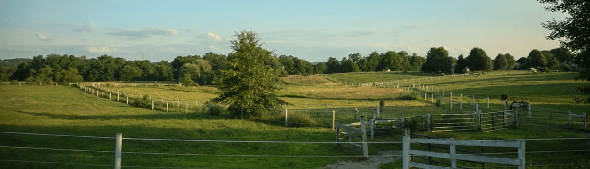 A picturesque green pasture with grazing horses and a wooden fence under a clear sky.