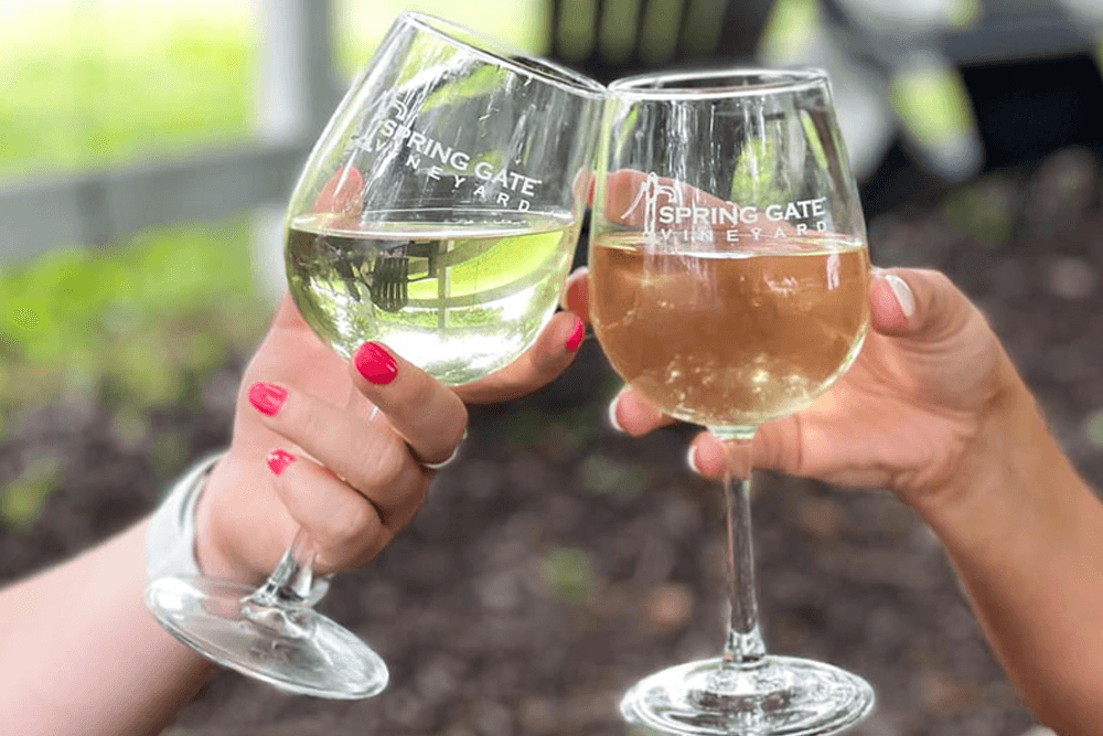 Two hands clink wine glasses filled with white and rosé wine at Spring Gate Vineyard.