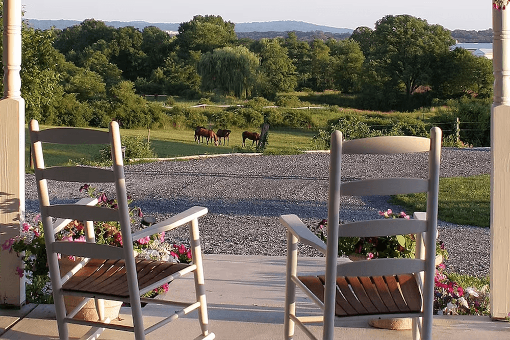 Two rocking chairs on a porch overlook a grassy field with horses in the distance.