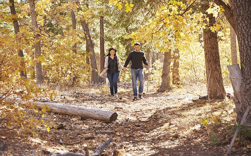 A couple walks hand in hand along a wooded path covered in autumn leaves.