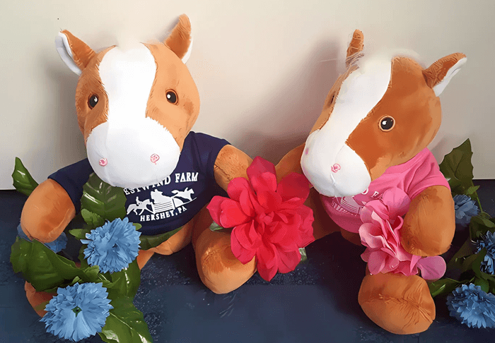 Two plush horses wearing t-shirts, surrounded by colorful flowers.