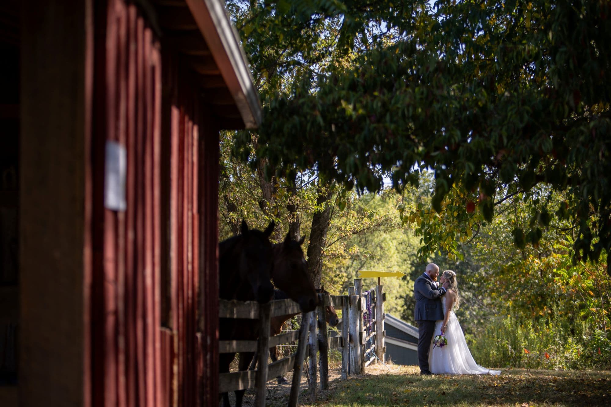 A bride and groom embrace in a scenic outdoor setting near a rustic barn and horses.