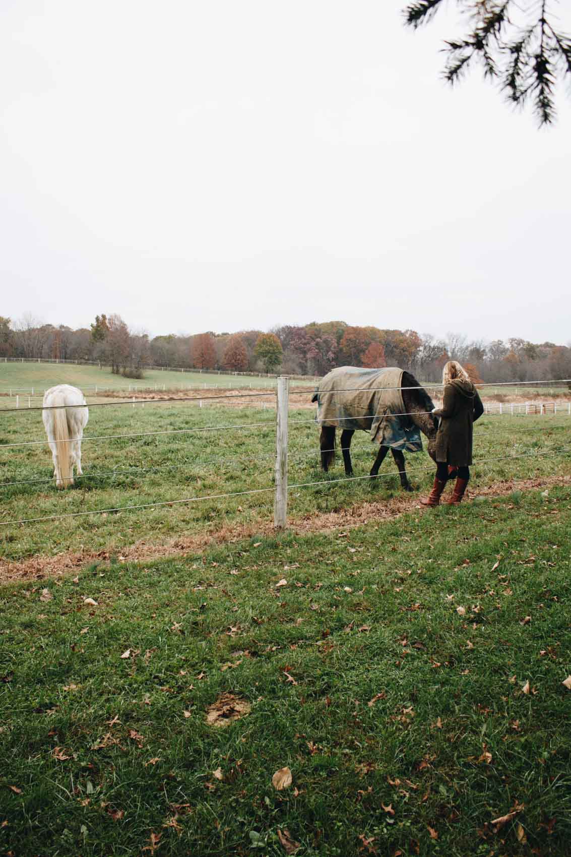 A person stands beside a horse and a white pony in a grassy, fenced field with autumn trees in the background.
