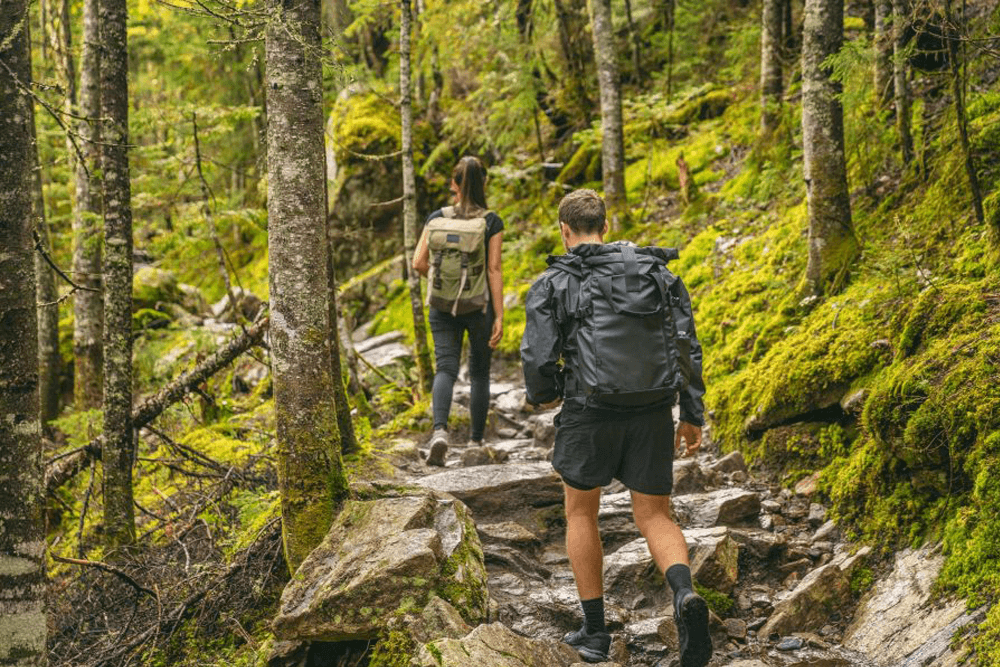 Two hikers navigating a rocky trail surrounded by lush green forest.