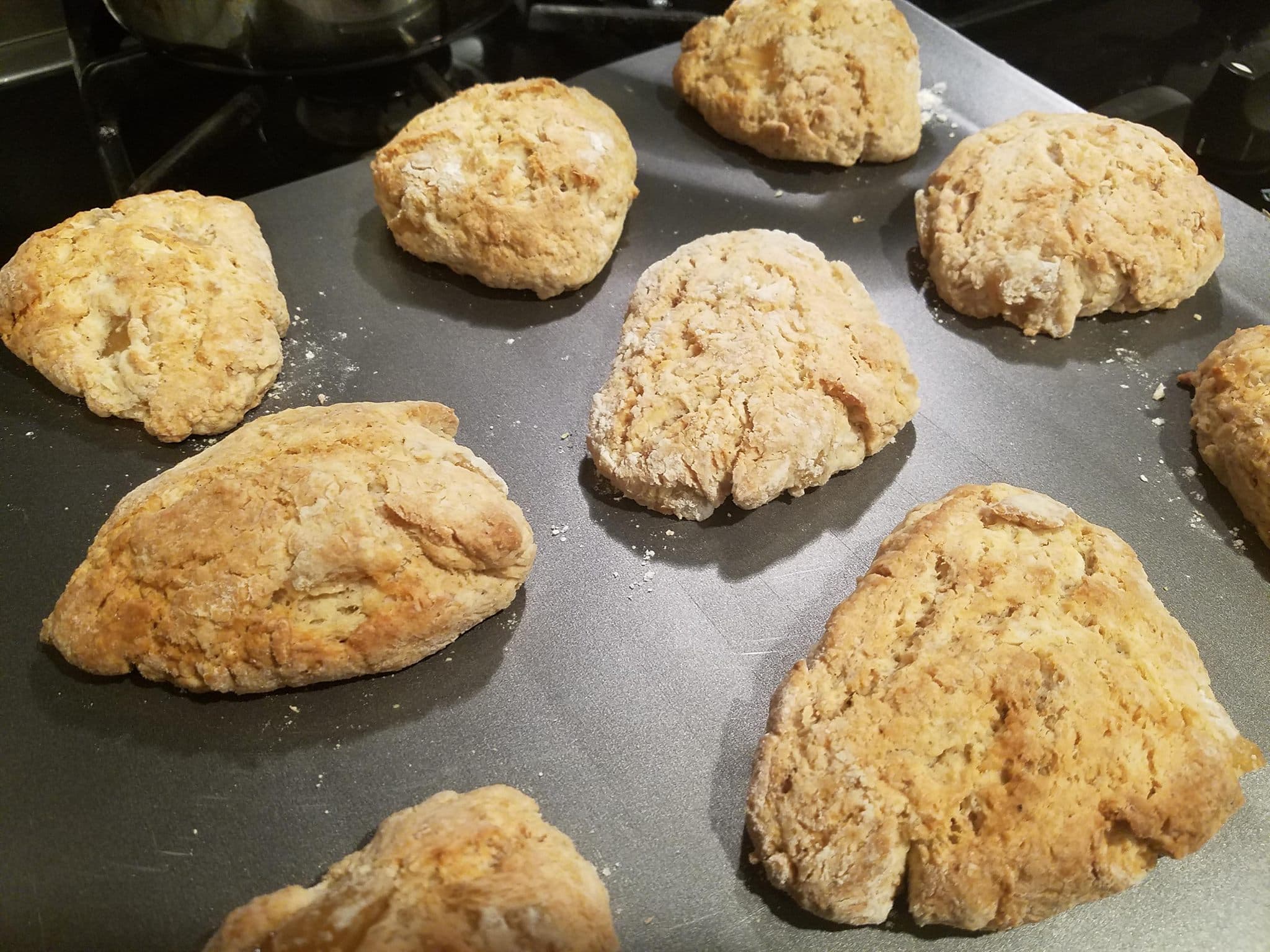 Freshly baked scones cooling on a baking sheet. Freshly baked scones cooling on a baking sheet.