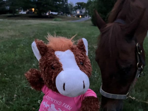 A plush horse toy waves in front of a real horse in a grassy field at dusk.