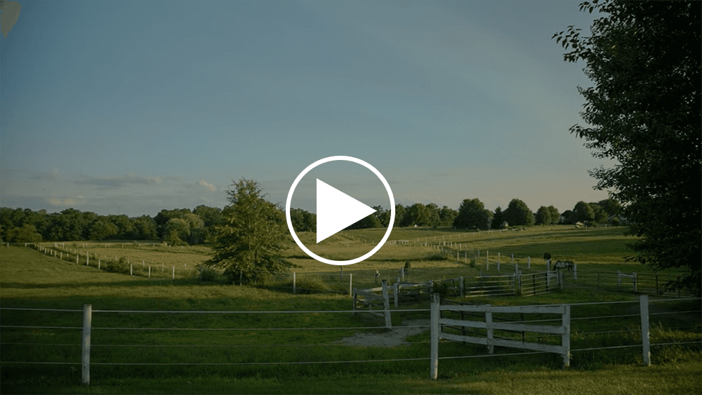 A picturesque landscape of green fields with a wooden fence under a clear blue sky.