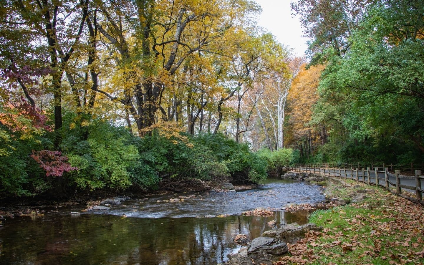 A serene stream flows through a forest with vibrant autumn foliage and a nearby walking path.