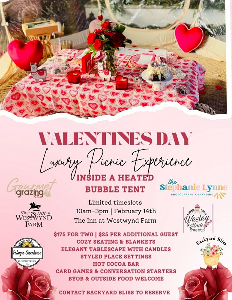 A promotional image for a Valentine's Day luxury picnic experience inside a heated bubble tent, featuring elegant seating and decor.