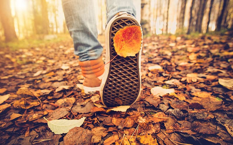 A close-up of a sneaker stepping on a bed of autumn leaves, with a single leaf stuck to the shoe.