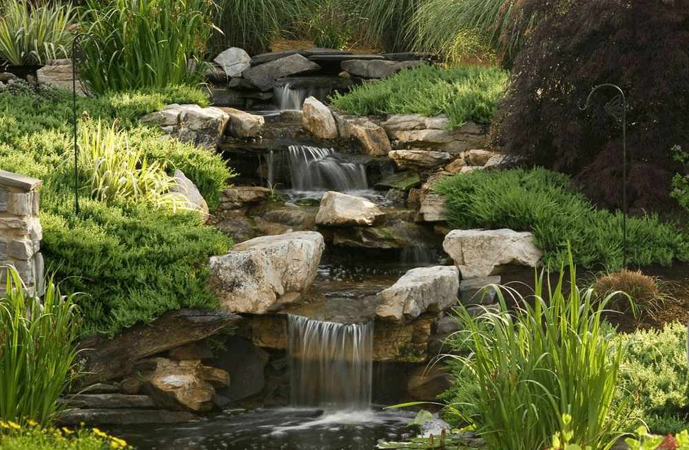 A serene waterfall cascades over rocks, surrounded by lush greenery and colorful plants.