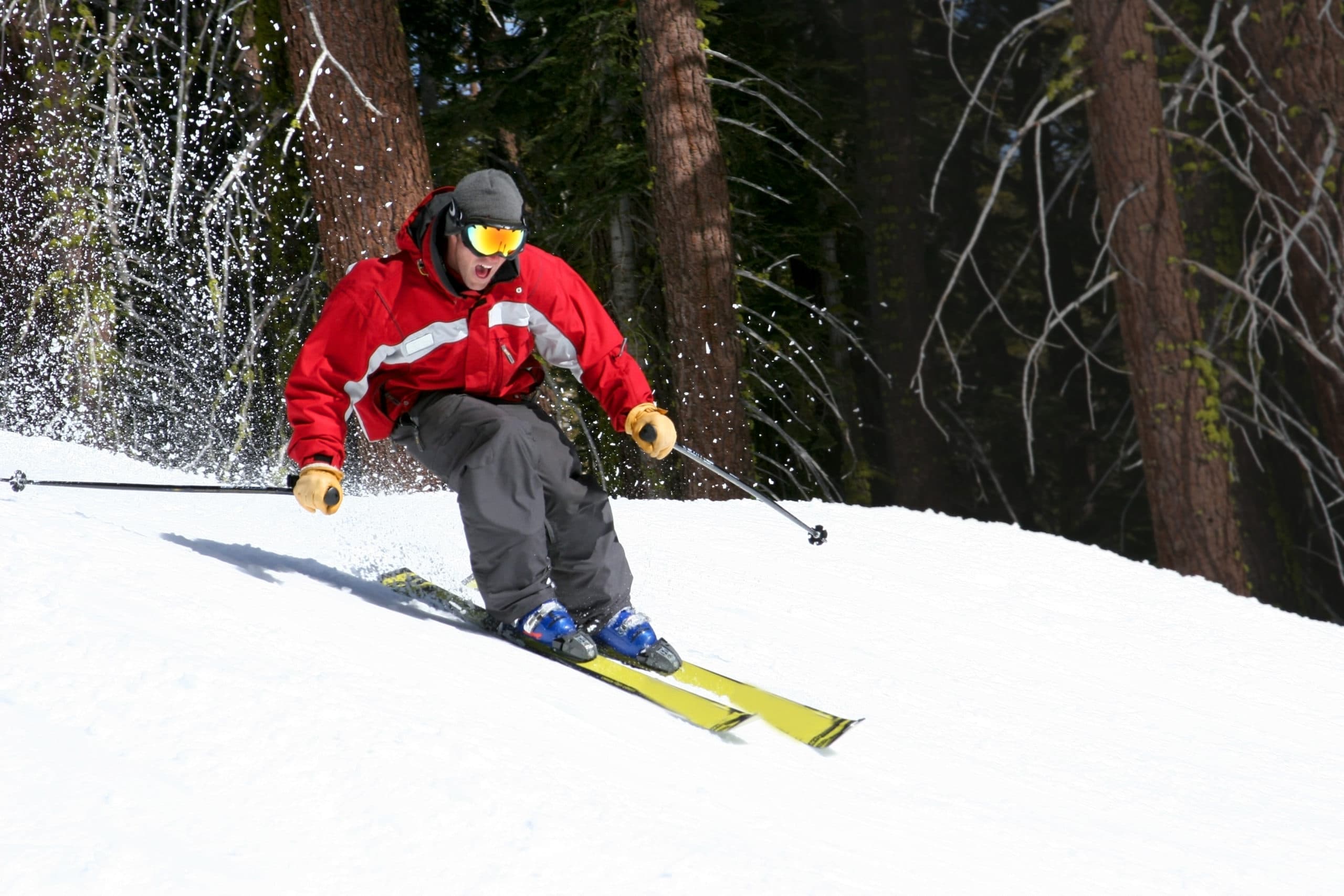 A skier in a red jacket descends a snowy slope surrounded by trees.