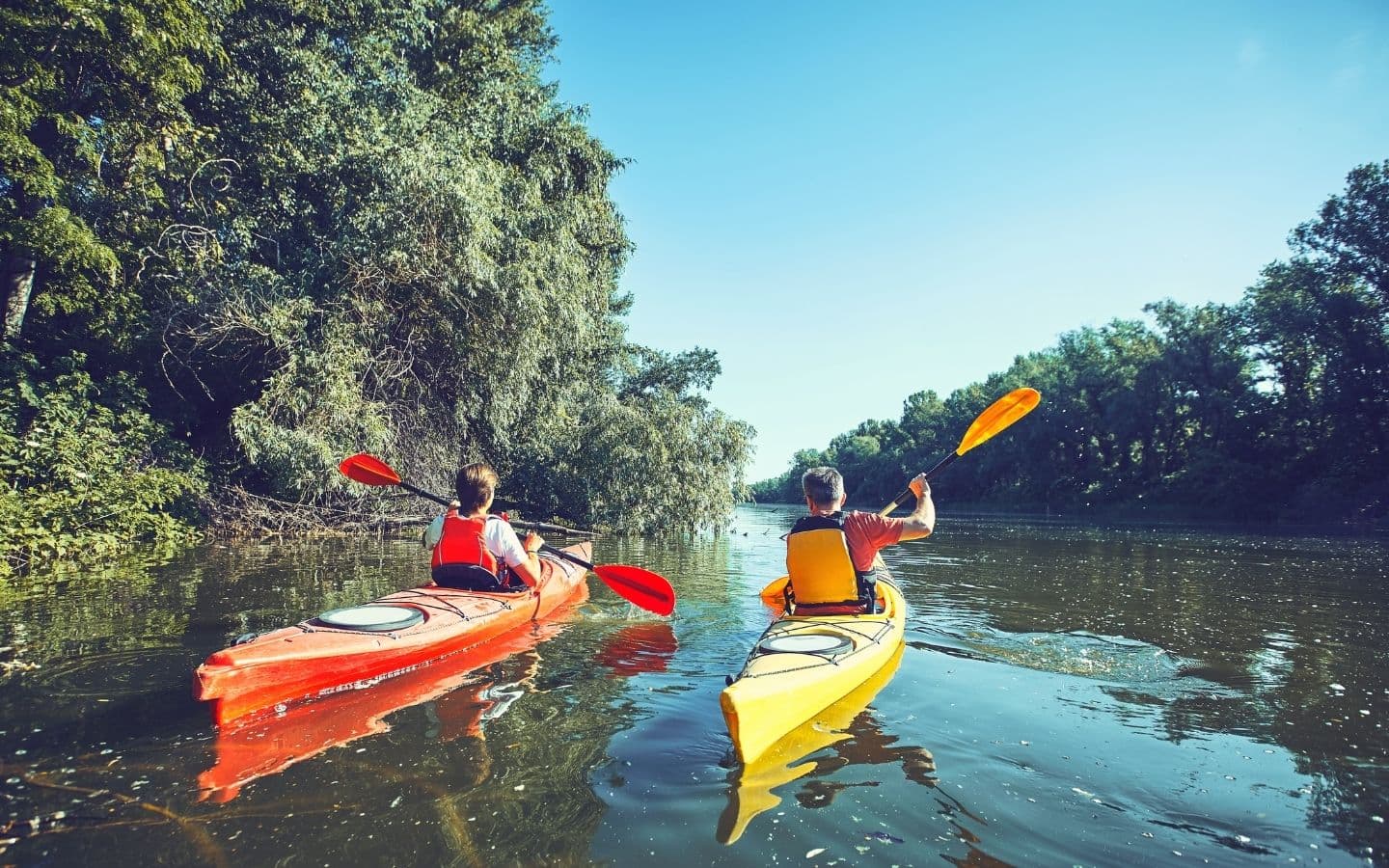 Two people kayaking on a calm river surrounded by lush greenery. Two people kayaking on a calm river surrounded by lush greenery.