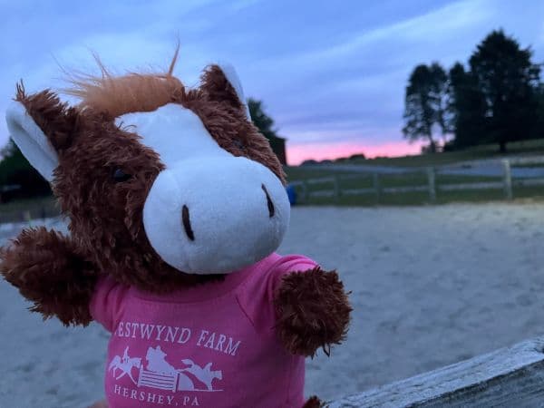 A plush horse toy in a pink shirt stands against a sunset sky on a farm.