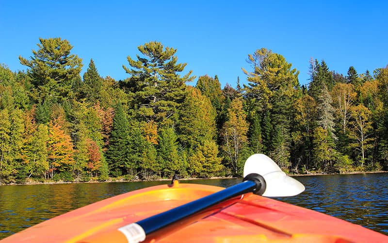 View from a kayak on a lake, showcasing vibrant autumn trees against a clear blue sky.