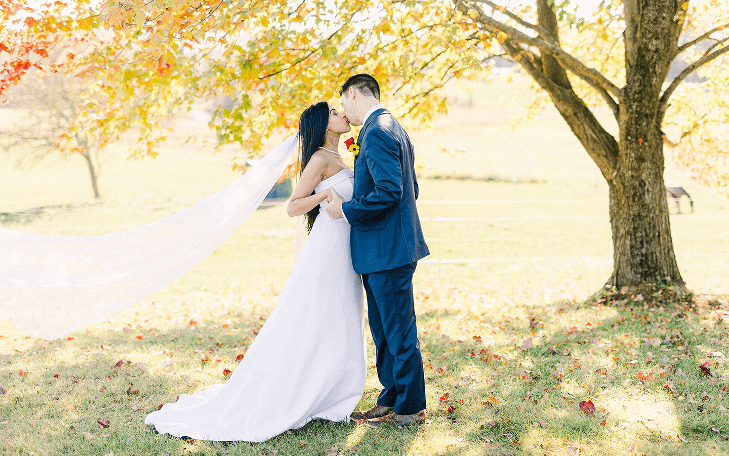 A couple shares a kiss under a vibrant autumn tree, with the bride's veil flowing gently in the breeze.