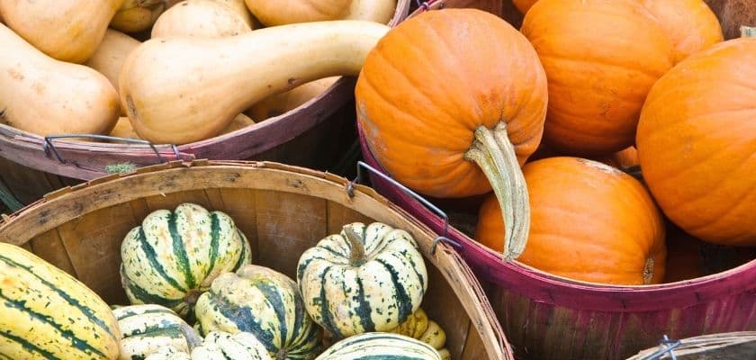 three baskets of fall produce with squash and two types of pumpkins
