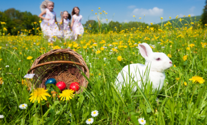 Easter bunny and basket in grass