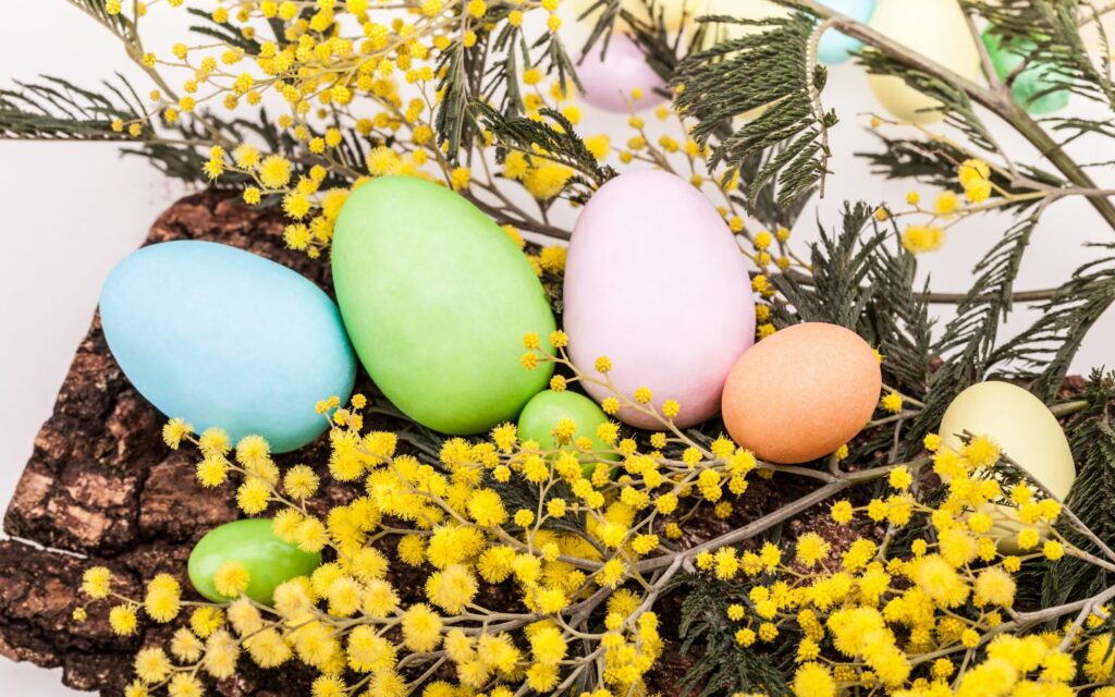 Blue, green, pink, orange, and yellow easter eggs displayed on a piece of wood decorated with pine branches and yellow flowers