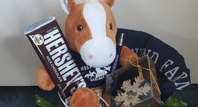 Stuffed horse with chocolate in kids basket