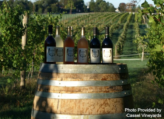 Cassel Vineyards in Hershey, PA