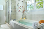 Antares Suite bath and shower