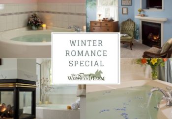 Ad set up with four rooms and Winter Romance Splecial in the center