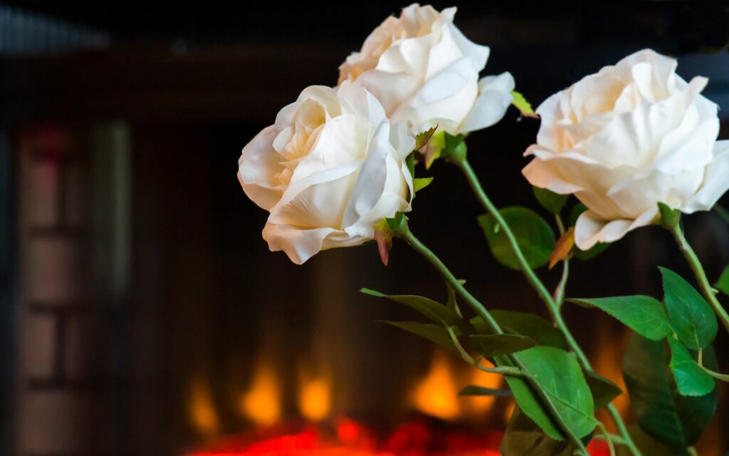white roses by a roaring fireplace